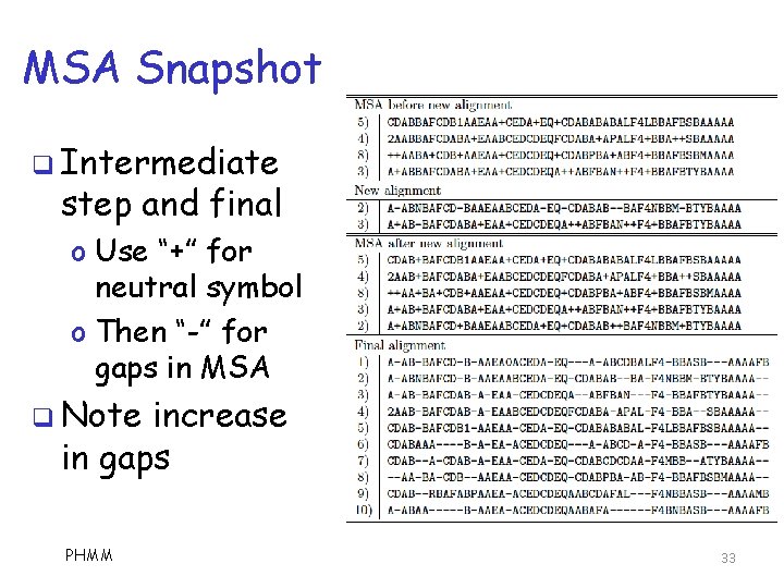 MSA Snapshot q Intermediate step and final o Use “+” for neutral symbol o