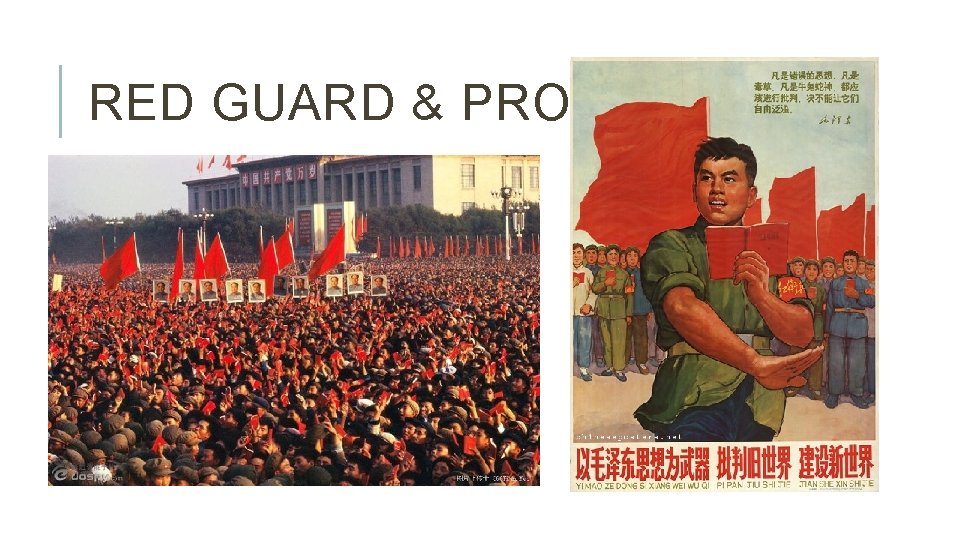 RED GUARD & PROPAGANDA 