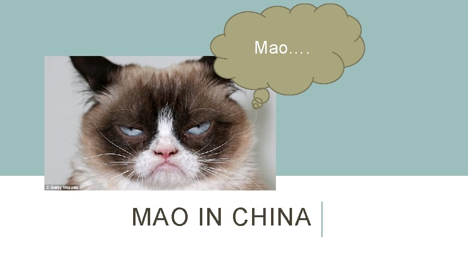 Mao…. MAO IN CHINA 