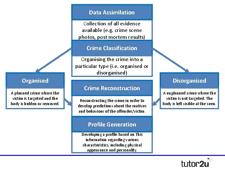 Data Assimilation Collection of all evidence available (e. g. crime scene photos, post mortem