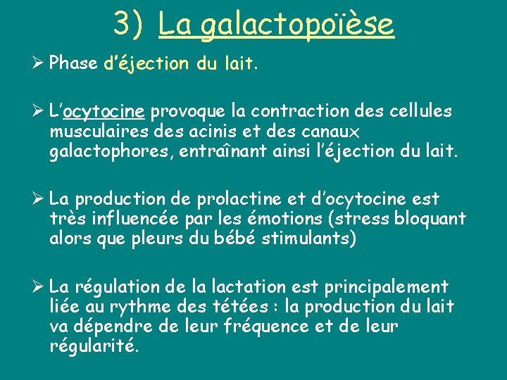 3) La galactopoïèse Ø Phase d’éjection du lait. Ø L’ocytocine provoque la contraction des