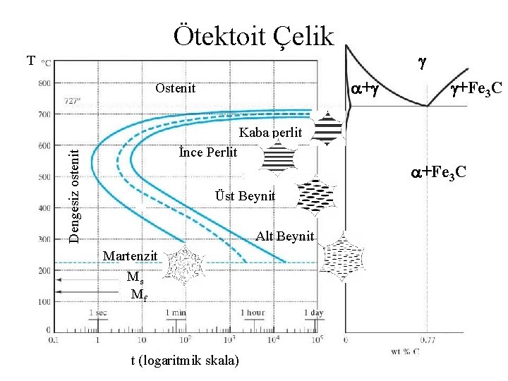 Ötektoit Çelik T + Ostenit +Fe 3 C Kaba perlit Dengesiz ostenit İnce Perlit