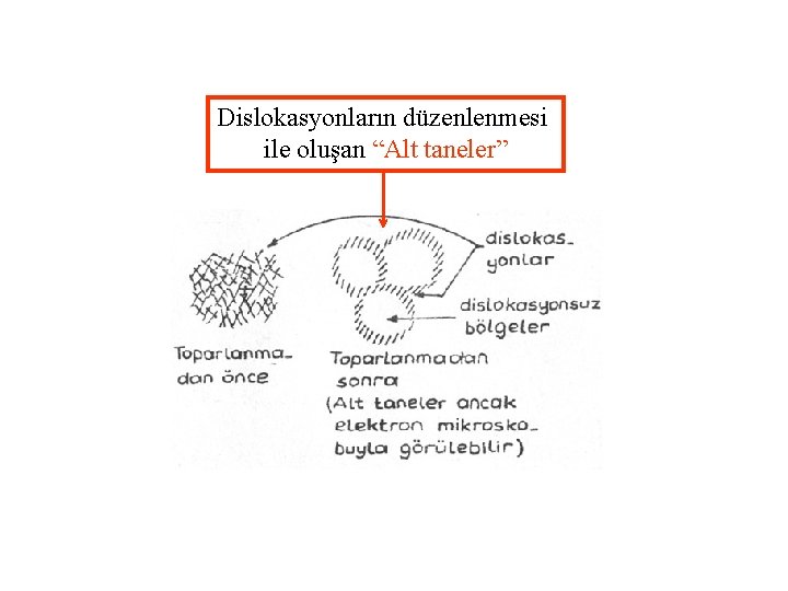 Dislokasyonların düzenlenmesi ile oluşan “Alt taneler” 