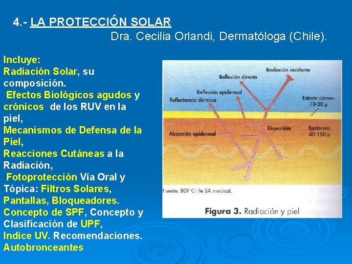 4. - LA PROTECCIÓN SOLAR Dra. Cecilia Orlandi, Dermatóloga (Chile). Incluye: Radiación Solar, su