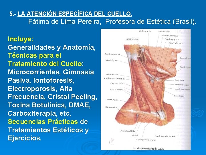 5. - LA ATENCIÓN ESPECÍFICA DEL CUELLO, Fátima de Lima Pereira, Profesora de Estética