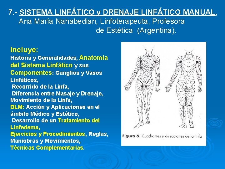 7. - SISTEMA LINFÁTICO y DRENAJE LINFÁTICO MANUAL, Ana María Nahabedian, Linfoterapeuta, Profesora de