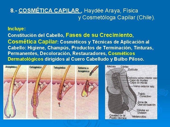 8. - COSMÉTICA CAPILAR , Haydée Araya, Física y Cosmetóloga Capilar (Chile). Incluye: Constitución