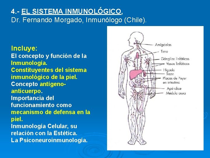 4. - EL SISTEMA INMUNOLÓGICO, Dr. Fernando Morgado, Inmunólogo (Chile). Incluye: El concepto y