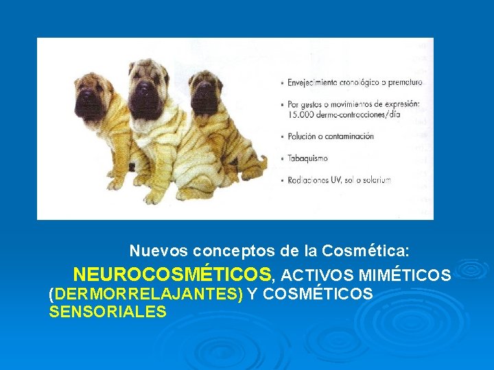 Nuevos conceptos de la Cosmética: NEUROCOSMÉTICOS, ACTIVOS MIMÉTICOS (DERMORRELAJANTES) Y COSMÉTICOS SENSORIALES 