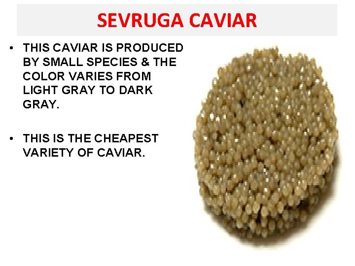 SEVRUGA CAVIAR • THIS CAVIAR IS PRODUCED BY SMALL SPECIES & THE COLOR VARIES