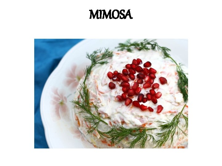 MIMOSA MIMOSA