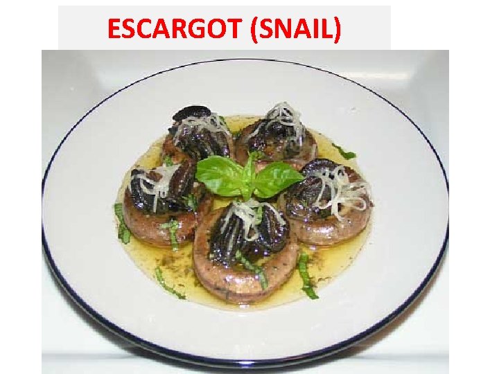 ESCARGOT (SNAIL) 