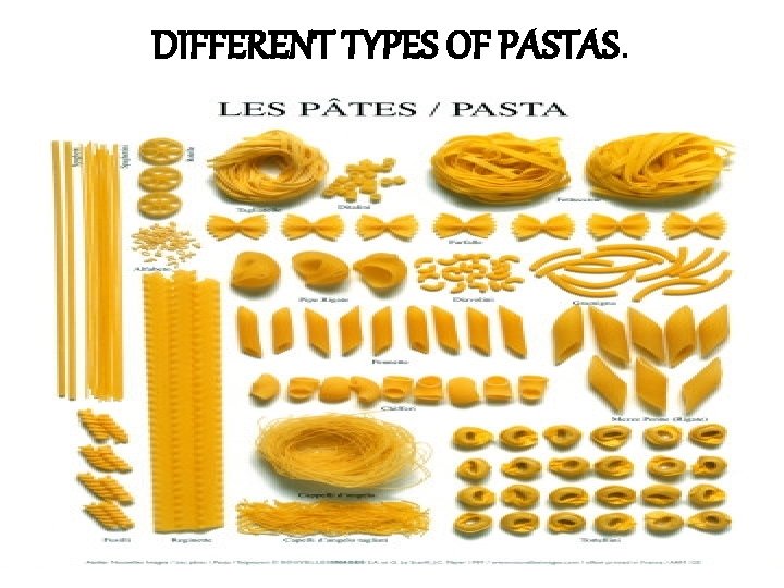 DIFFERENT TYPES OF PASTAS. 