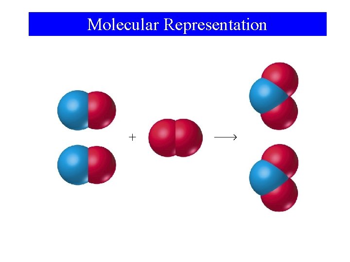 Molecular Representation 