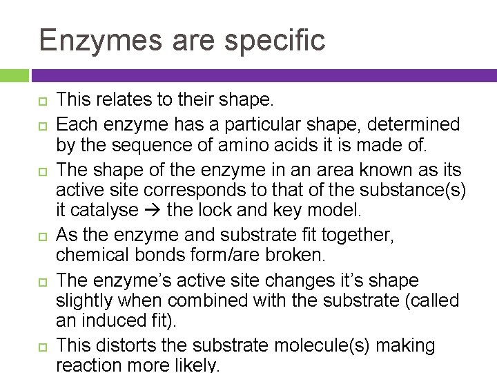 Enzymes are specific This relates to their shape. Each enzyme has a particular shape,