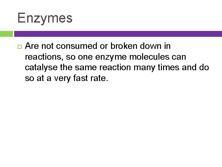 Enzymes Are not consumed or broken down in reactions, so one enzyme molecules can