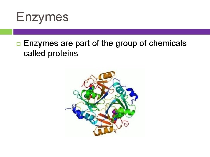 Enzymes are part of the group of chemicals called proteins 