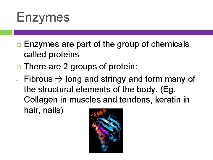 ENZYMES Enzymes are part of the group of