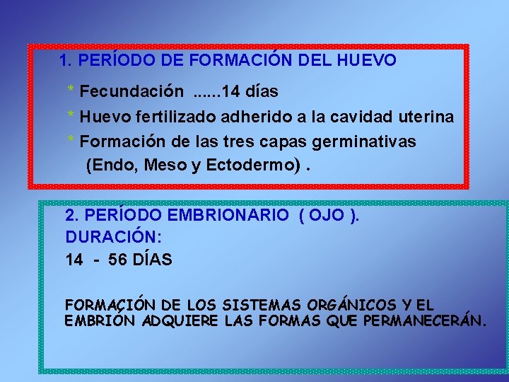 1. PERÍODO DE FORMACIÓN DEL HUEVO * Fecundación. . . 14 días * Huevo