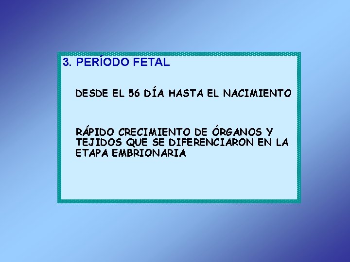 3. PERÍODO FETAL DESDE EL 56 DÍA HASTA EL NACIMIENTO RÁPIDO CRECIMIENTO DE ÓRGANOS