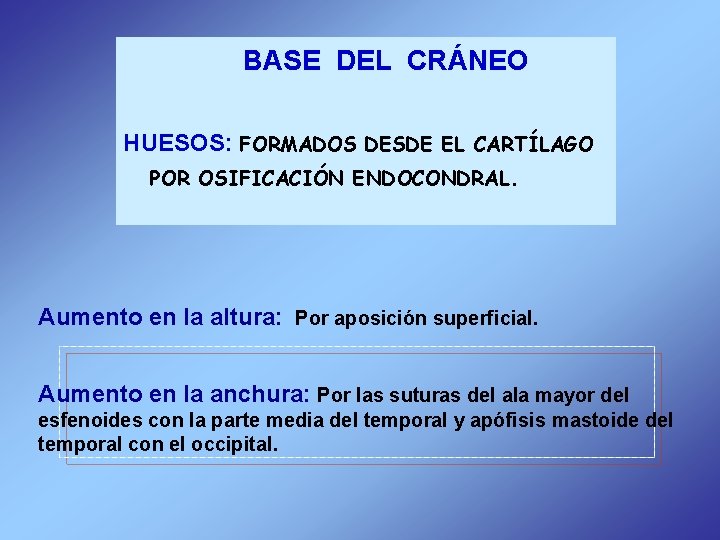 BASE DEL CRÁNEO HUESOS: FORMADOS DESDE EL CARTÍLAGO POR OSIFICACIÓN ENDOCONDRAL. Aumento en la