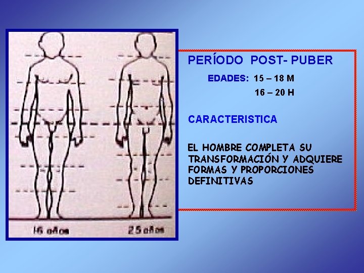 PERÍODO POST- PUBER EDADES: 15 – 18 M 16 – 20 H CARACTERISTICA EL