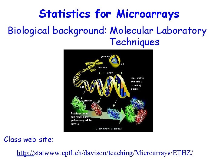 Statistics for Microarrays Biological background: Molecular Laboratory Techniques Class web site: http: //statwww. epfl.