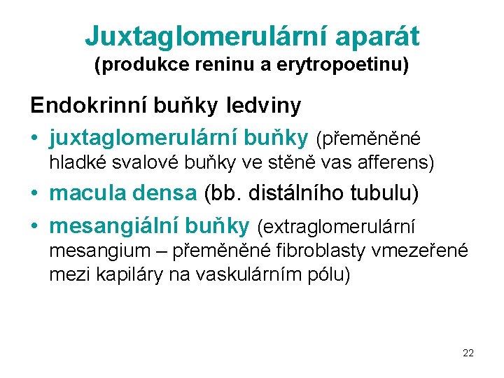 Juxtaglomerulární aparát (produkce reninu a erytropoetinu) Endokrinní buňky ledviny • juxtaglomerulární buňky (přeměněné hladké