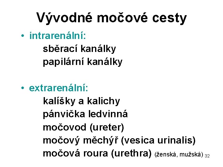 Vývodné močové cesty • intrarenální: sběrací kanálky papilární kanálky • extrarenální: kalíšky a kalichy