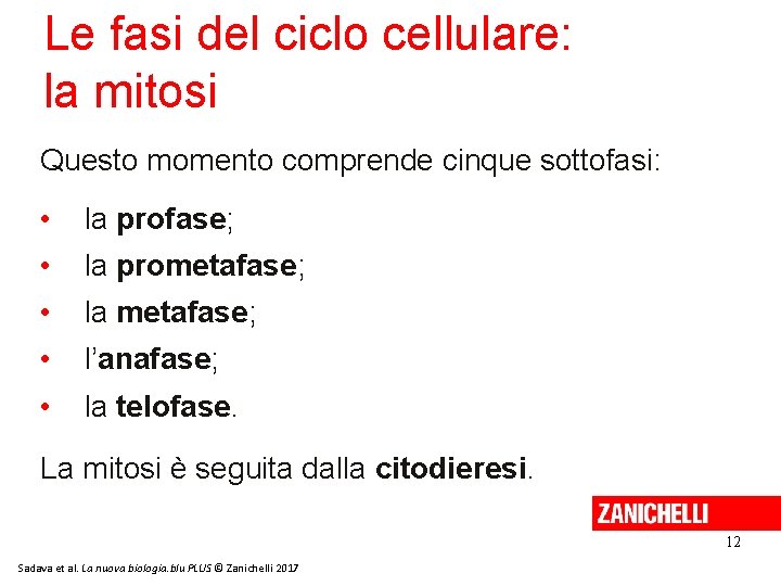 Le fasi del ciclo cellulare: la mitosi Questo momento comprende cinque sottofasi: • la Le fasi del ciclo cellulare: la mitosi Questo momento comprende cinque sottofasi: • la