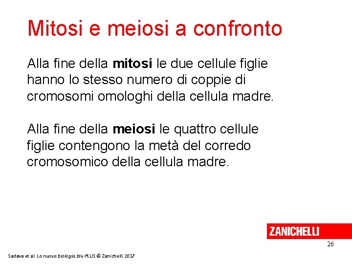 Mitosi e meiosi a confronto Alla fine della mitosi le due cellule figlie hanno Mitosi e meiosi a confronto Alla fine della mitosi le due cellule figlie hanno