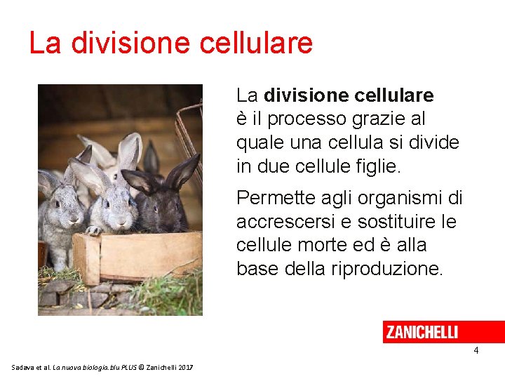 La divisione cellulare è il processo grazie al quale una cellula si divide in La divisione cellulare è il processo grazie al quale una cellula si divide in