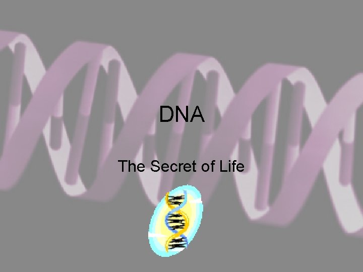 DNA The Secret of Life 