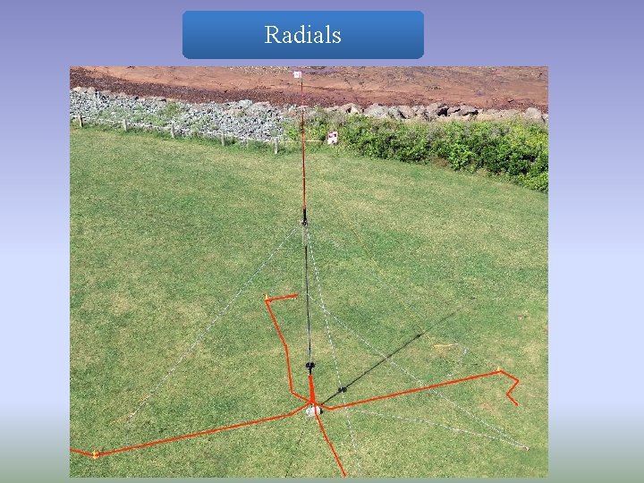 Radials 