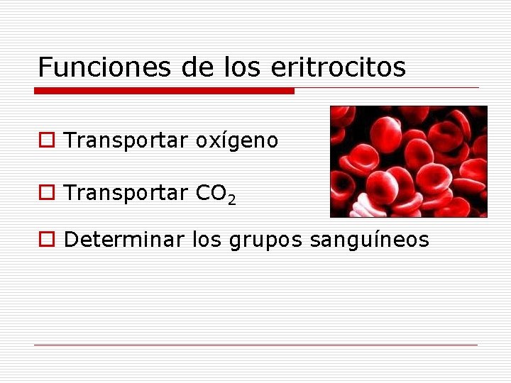 Funciones de los eritrocitos o Transportar oxígeno o Transportar CO 2 o Determinar los