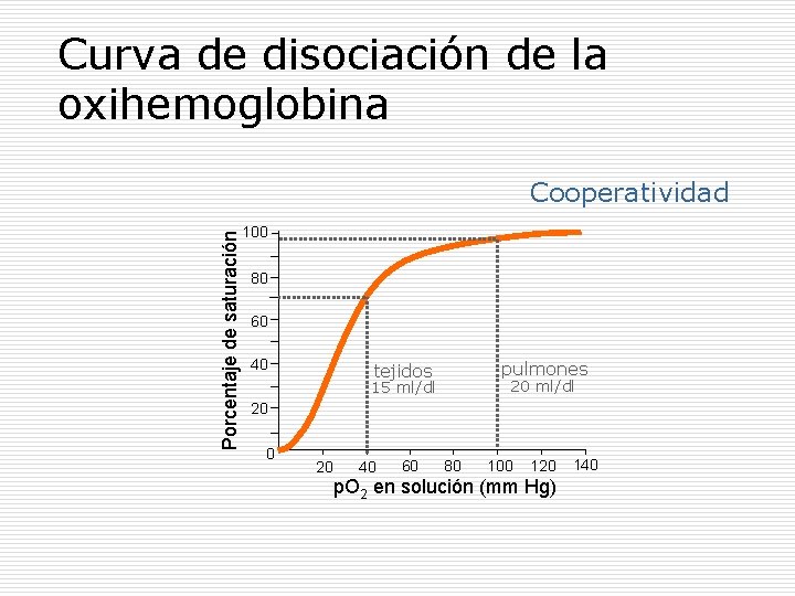 Curva de disociación de la oxihemoglobina Porcentaje de saturación Cooperatividad 100 80 60 40