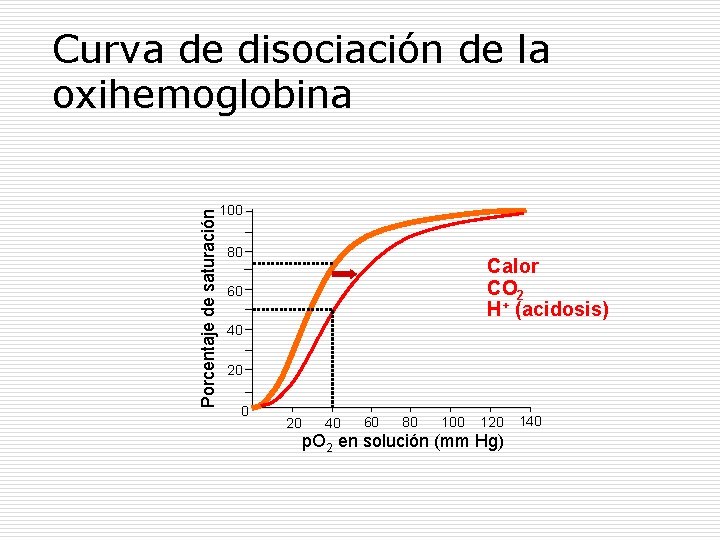 Porcentaje de saturación Curva de disociación de la oxihemoglobina 100 80 Calor CO 2