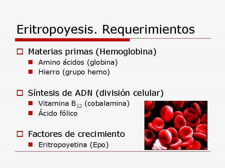 Eritropoyesis. Requerimientos o Materias primas (Hemoglobina) n Amino ácidos (globina) n Hierro (grupo hemo)