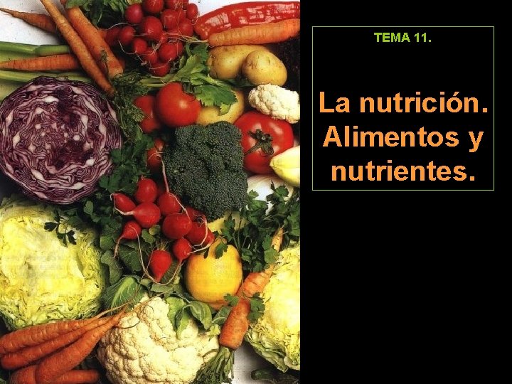 TEMA 11. La nutrición. Alimentos y nutrientes. 