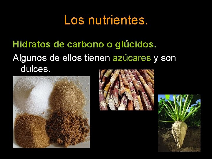 Los nutrientes. Hidratos de carbono o glúcidos. Algunos de ellos tienen azúcares y son
