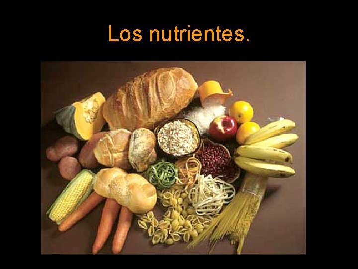 Los nutrientes. 