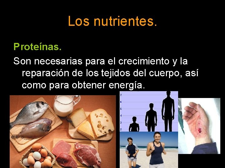 Los nutrientes. Proteínas. Son necesarias para el crecimiento y la reparación de los tejidos