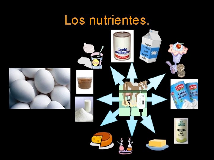 Los nutrientes. 