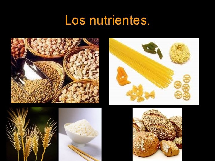 Los nutrientes. 
