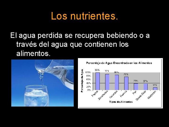 Los nutrientes. El agua perdida se recupera bebiendo o a través del agua que