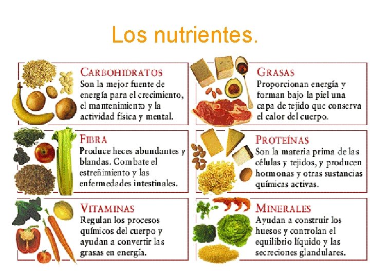 Los nutrientes. 