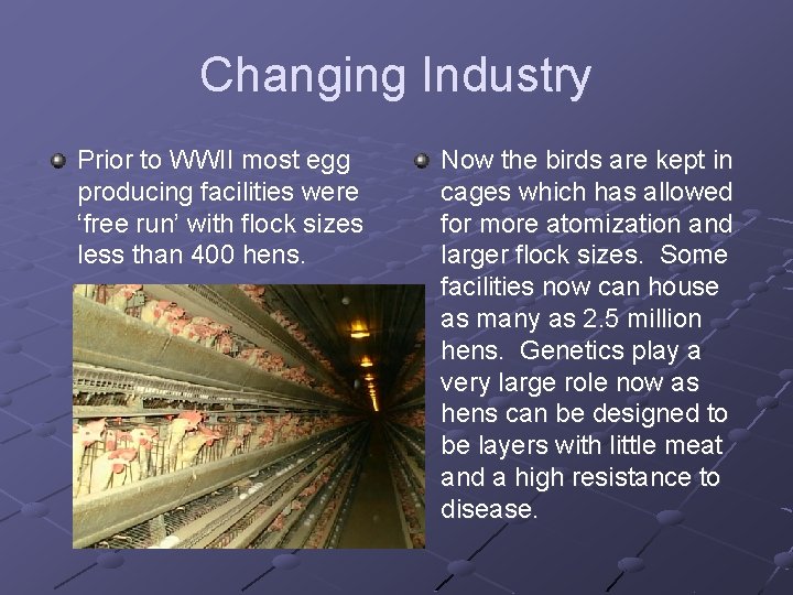 Changing Industry Prior to WWII most egg producing facilities were ‘free run’ with flock