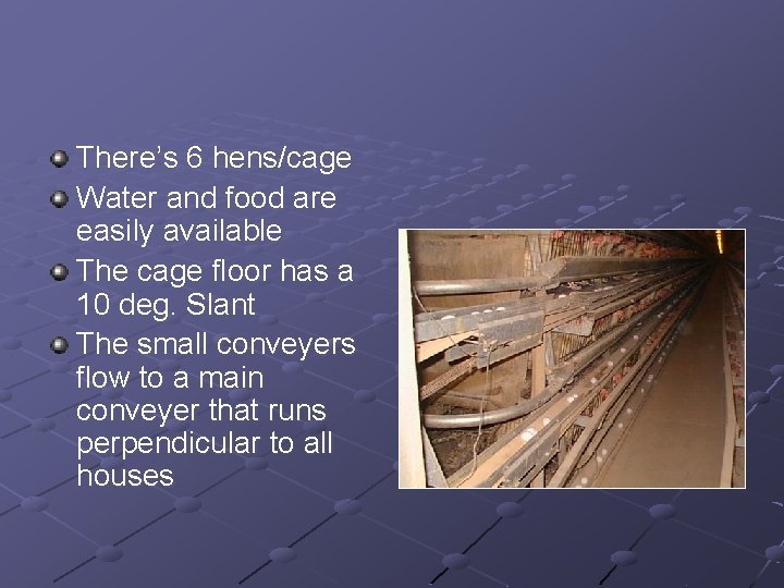 There’s 6 hens/cage Water and food are easily available The cage floor has a