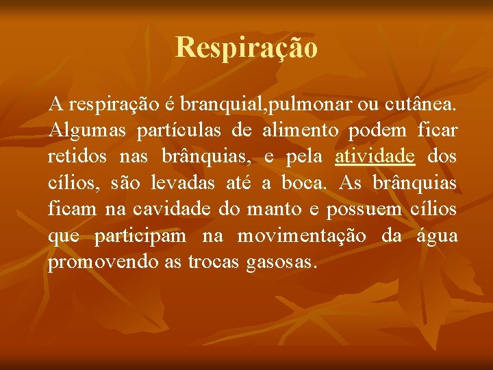 Respiração A respiração é branquial, pulmonar ou cutânea. Algumas partículas de alimento podem ficar