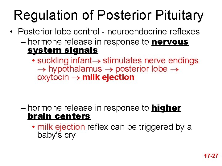 Regulation of Posterior Pituitary • Posterior lobe control - neuroendocrine reflexes – hormone release